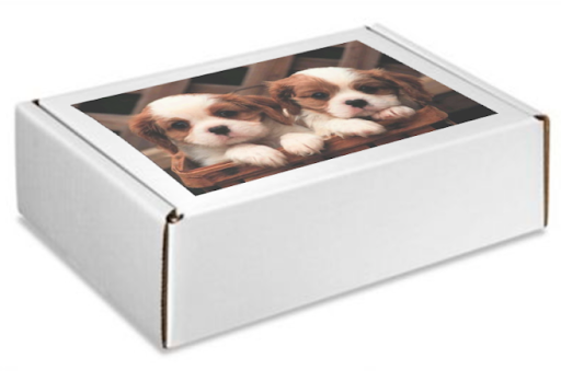 Custom Printed Puzzles