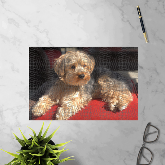 Custom Printed Puzzles